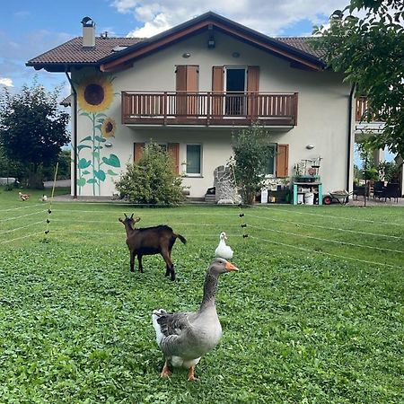 Agriturismo Girasole Fai della Paganella Eksteriør bilde