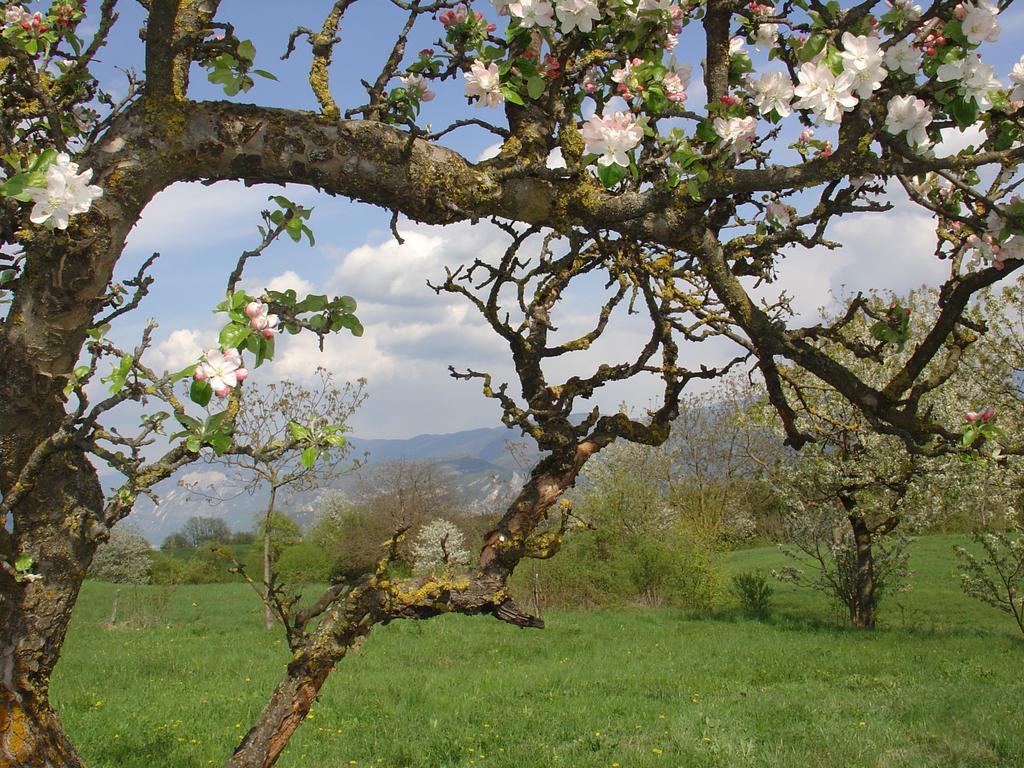 Agriturismo Girasole Fai della Paganella Eksteriør bilde